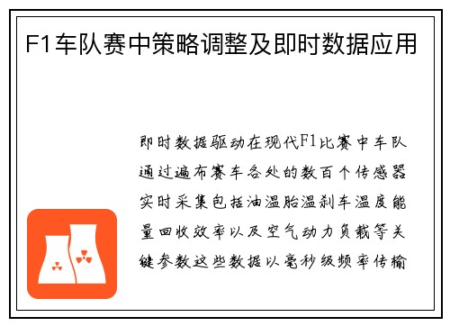 F1车队赛中策略调整及即时数据应用